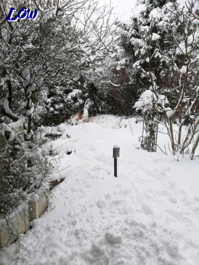 20.2.2026 - Schnee in Massen 
